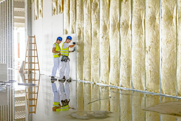 Best Energy Efficiency Insulation in Central High, OK